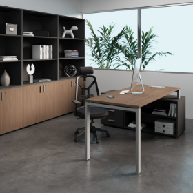 MG 61